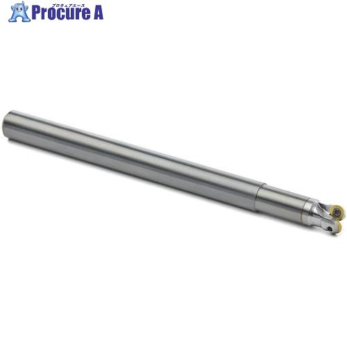 セコ フライス  金型用 切断機 R217.29-1010.0-025.2.090E 1個 ■▼490-8273 【貨物輸送都度積もり書き】