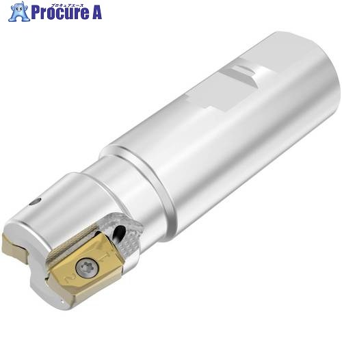 セコ フライス ダブルターボミル R217.64 裁断師 R217.64-3232.3-ZO16-2A 1個 ■▼490-8320 【貨物輸送都度積もり書き】