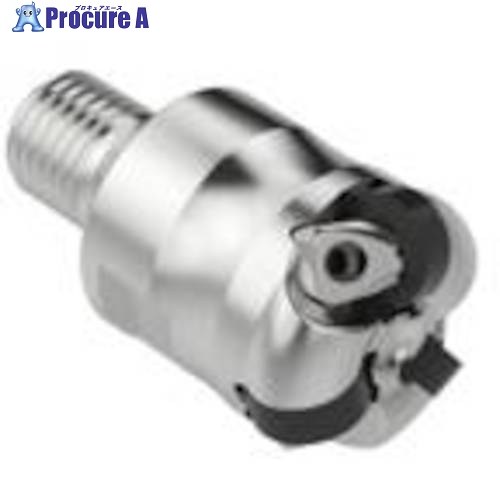 セコ フライス CBNカッター R217.26-1632.RE-RN1204.3A 1個 ■▼490-9882 【送料都度見積】｜プロキュアエース 38,217円