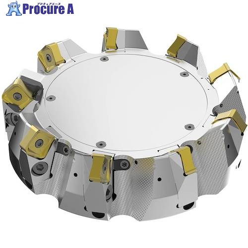 セコ フライス ダブルクワトロミル22-48° カッタ― R220.54-8200-22-9CS 1個 ■▼490-9885 【貨物輸送都度積もり書き】