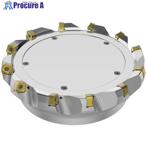 セコ フライス ダブルクワトロミル14-71° カッタ― R220.56-8200-14-12A 1個 ■▼491-1453 【貨物輸送都度積もり書き】
