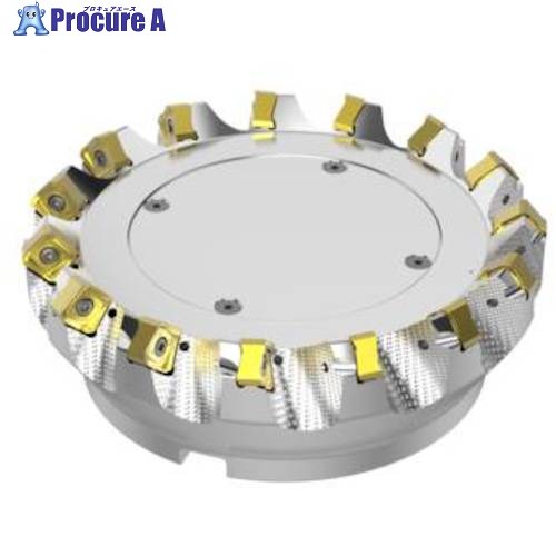 セコ フライス ダブルクワトロミル14-48° カッタ― R220.54-8160-14-15A 1個 ■▼491-1513 【貨物輸送都度積もり書き】