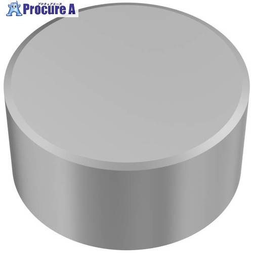 セコ 旋削用CBNソリッドインサート CBN600 RNMN060300S-02020P  CBN600 2個 ■▼526-6133 【貨物輸送都度積もり書き】
