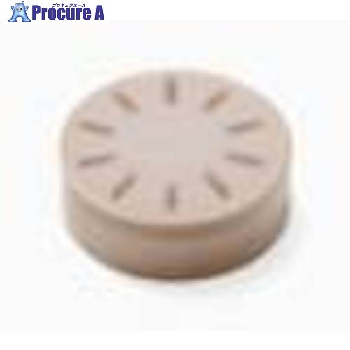 セコ 旋削用CBNソリッドインサート CBN010 RNGN060300S-01020  CBN010 2個 ■▼526-6134 【貨物輸送都度積もり書き】