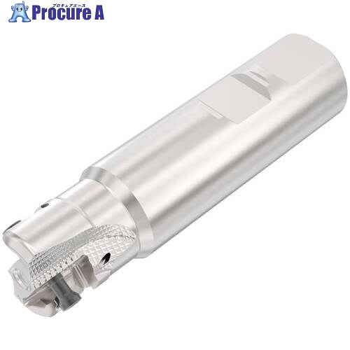 セコ SquareT4ーR217/220.94-12 メートル仕様 R217.94-2525.3-LO12-2A 1個 ■▼679-8039 【送料都度見積】|プロキュアエース