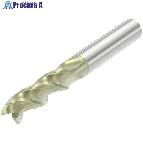 セコ Sつづき物挙げ句の果て圧砕機 軽銀産業用 S4531・ AXT S4531-060E3R050.0Z3C  AXT 1個 ■▼694-7996 【貨物輸送都度積もり書き】