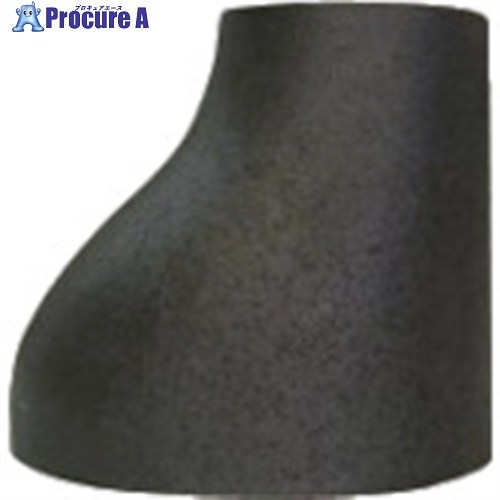BENKAN RESGP鋼管製レ飲んだくれ50AX40A RE-SGP-50A-40A  (2X1 1/2) 20個 ■▼850-5055 【貨物輸送都度積もり書き】