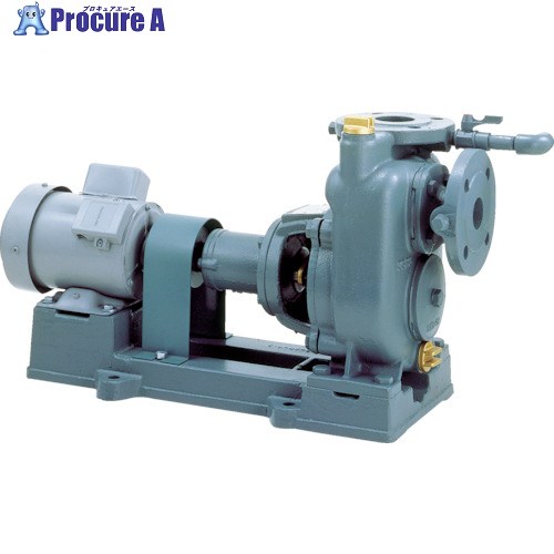 TERAL 自吸式渦一巻き揚水機単相100 SPL3-40-1-100-60HZ 1台 ■▼114-8548 ※人間宅様送ること不可