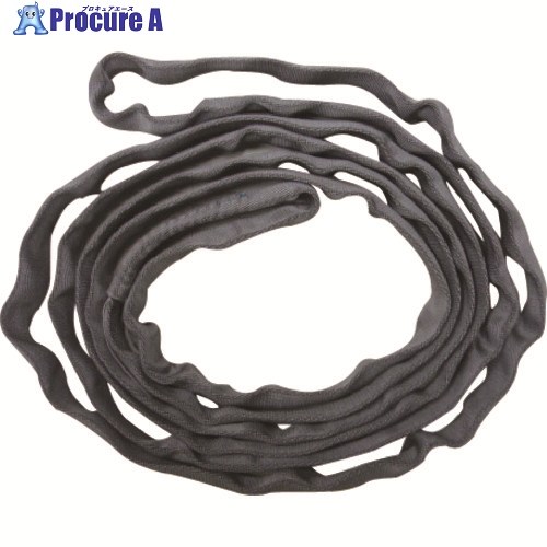 TESAC ブルースリングソフトN形(エンドレスタイプ)荷重0.5t 全長5m(JIS規格品) TBSN0.5TX5M 1本 ■▼148-0533 【送料都度見積】|プロキュアエース