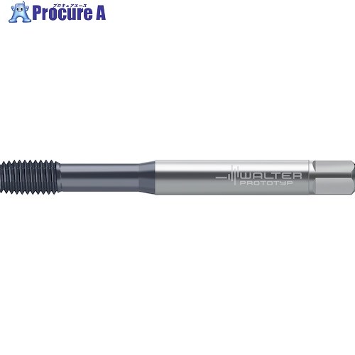 Prototyp HSS-E-PM 転造タップ TC430-M8-C1-WW60EL 1本 ■▼417-0144 【送料都度見積】 ●O585|プロキュアエース