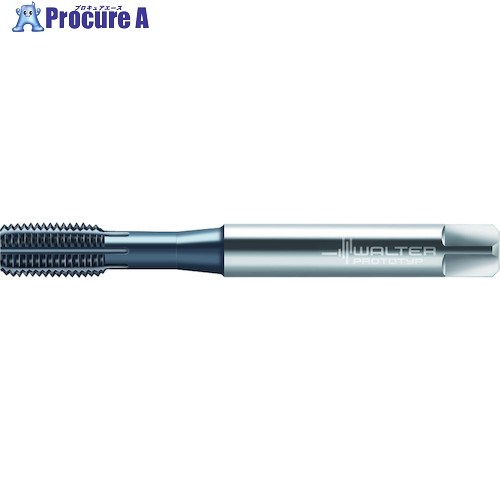 Prototyp HSS-E-PM- 転造タップ TC420-M2.5-C6-WW60BA 1本 ■▼417-9403 【送料都度見積】 ●O585