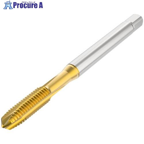 セコ ねじ切り工具 T32-PN01B03-1.2X0.25-41R 1個 ■▼488-7807 【送料都度見積】|プロキュアエース