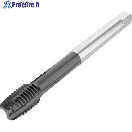 セコ ねじ切り手道具 T34-PH01B06-14X2-65R 1個 ■▼488-7870 【貨物輸送都度積もり書き】