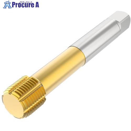 セコ タップ T33-FSN21C09-1/4-19-12R 1個 ■▼488-7878 【送料都度見積】|プロキュアエース