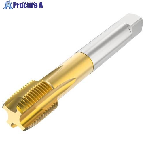 セコ ねじ切り工具 T32-PN21B09-1/2-14-11R 1個 ■▼488-7901 【送料都度見積】