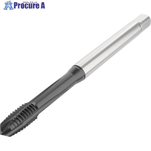 セコ ねじ切り物の具 T34-PH01B03-1.6X0.35-63R 1個 ■▼488-9448 【貨物輸送都度積もり書き】 手動工具-花・ガーデン・DIY