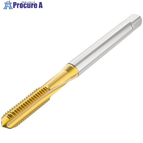 セコ ねじ切り工具 T32-SN01C03-2X0.4-63R 1個 ■▼489-4184 【送料都度見積】
