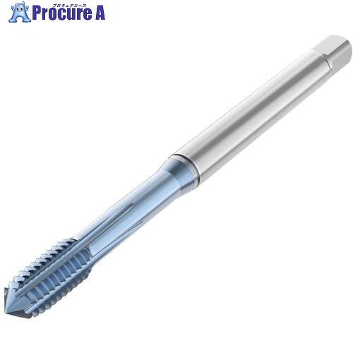 セコ 水道栓 T33-FSC01C03-5X0.8-65R 1個 ■▼489-4206 【貨物輸送都度積もり書き】