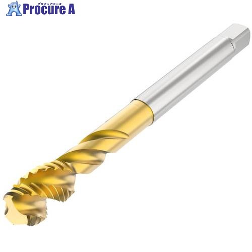 セコ ねじ切り工具 T32-R40N01C06-52X5-63R 1個 ■▼489-5874 【送料都度見積】