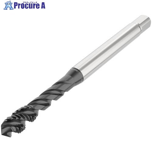 セコ ねじ切り工具 T34-R45H02C03-3.5X0.35-65R 1個 ■▼489-7406 【送料都度見積】