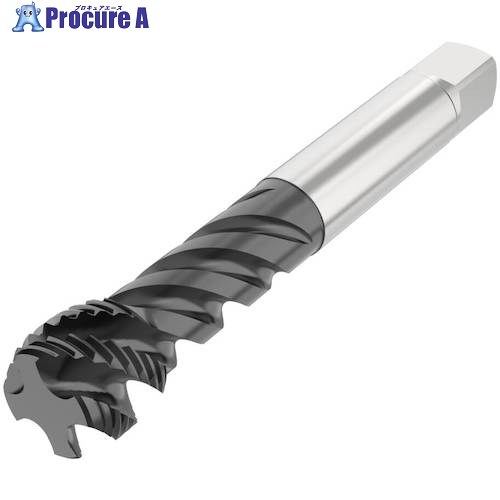 セコ ねじ切り物の具 T34-R45H21C09-1-11-12R 1個 ■▼489-9081 【貨物輸送都度積もり書き】