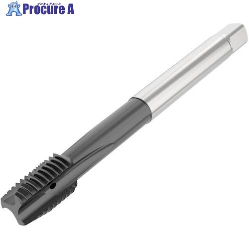 セコ ねじ切り手道具 T34B-PH01B06-12X1.75-65R 1個 ■▼490-2080 【貨物輸送都度積もり書き】