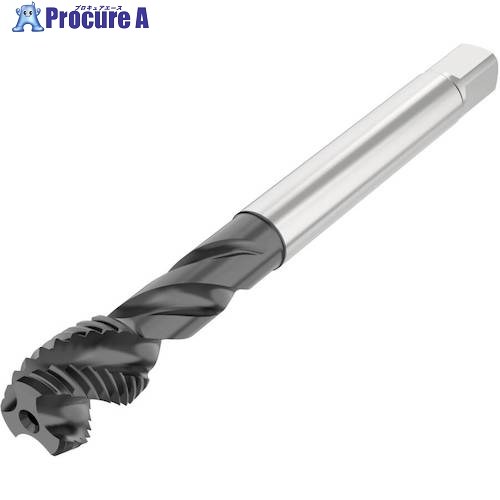 セコ ねじ切り工具 T34A-R45H02C05-16X1.5-65R 1個 ■▼490-3667 【送料都度見積】