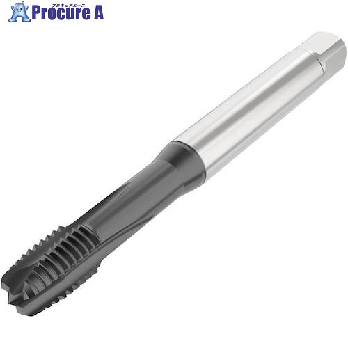 セコ ねじ切り手道具 T34-PH02B03-10X1.25-65R 1個 ■▼490-3696 【貨物輸送都度積もり書き】