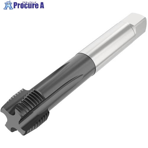 セコ ねじ切り物の具 T34-PH21B09-1-11-12R 1個 ■▼490-3858 【貨物輸送都度積もり書き】