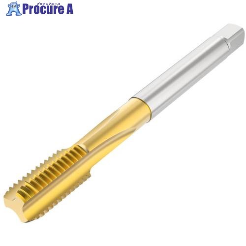セコ ねじ切り手道具 T32-SN01C06-12X1.75-63L 1個 ■▼490-5236 【貨物輸送都度積もり書き】