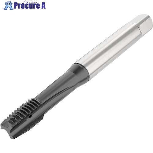 セコ ねじ切り工具 T34B-PH01B03-10X1.5-65R 1個 ■▼490-5250 【送料都度見積】｜プロキュアエース