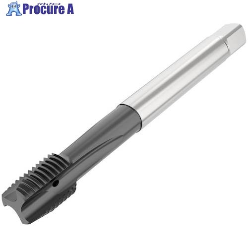 セコ ねじ切り手道具 T34B-PH02B05-10X1-65R 1個 ■▼490-6858 【貨物輸送都度積もり書き】