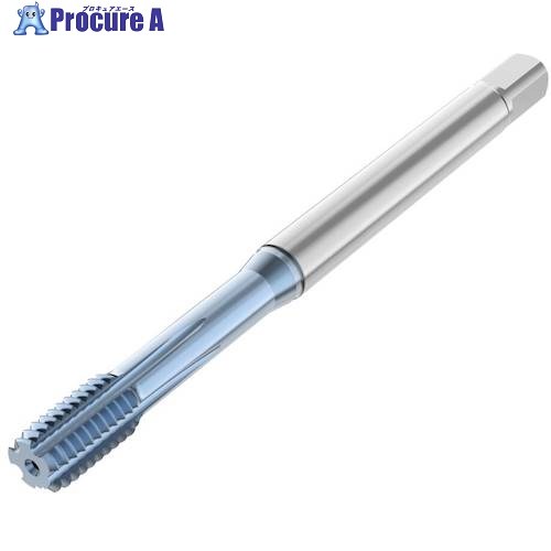 セコ Threadmaster水道栓 T33A-FSCE 決定づける水道栓止まり穴米突並目ねじ T33A-FSC01E03-8X1.25-65R 1個 ■▼491-0075 【貨物輸送都度積もり書き】