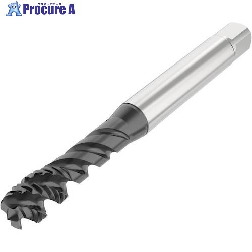 セコ ねじ切り手道具 T34-R45H02C03-8X0.75-65R 1個 ■▼491-1476 【貨物輸送都度積もり書き】