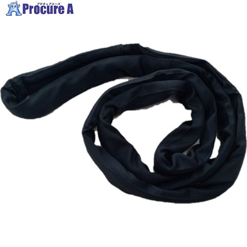 TESAC ブルースリングソフトブラックN形(エンドレスタイプ)荷重1t 全長5m TBSNBK1.0TX5.0M 1本 ■▼502-2953 【送料都度見積】｜プロキュアエース