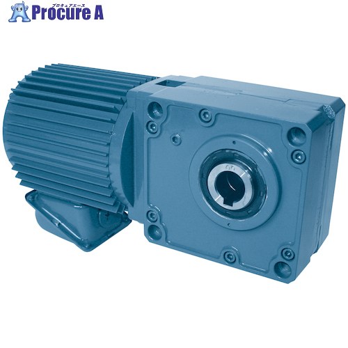 シグマー 直行中空軸ギアモーター三相400W 減速比1/30 TMH2-04-30 1台 ■▼537-4816 |プロキュアエース