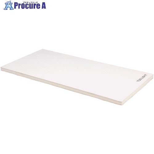 トーエイライト ソフト軽量マット 90&times;180&times;5cm T1795 1枚 ■▼684-3736 【送料都度見積】｜プロキュアエース
