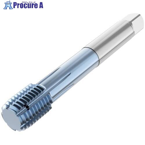 セコ 成形タップ 成形タップ T33B・ T33B-FSC01C06-14X2-65R 1本 ■▼684-4471 【送料都度見積】|プロキュアエース