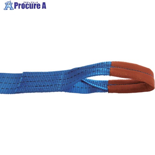 TESAC ラッシングベルト(胴締め荷締機)ラチェットバックル式アイタイプ T30E 010-050A 1台 ■▼851-8336 【貨物輸送都度積もり書き】 ベルトスリング-DIY・工具