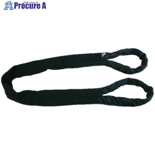 TESAC ブルースリングソフトE形(両端アイタイプ)10t用×3m(JIS標準尺度品) TBSE10TX3M 1本 ■▼851-9180