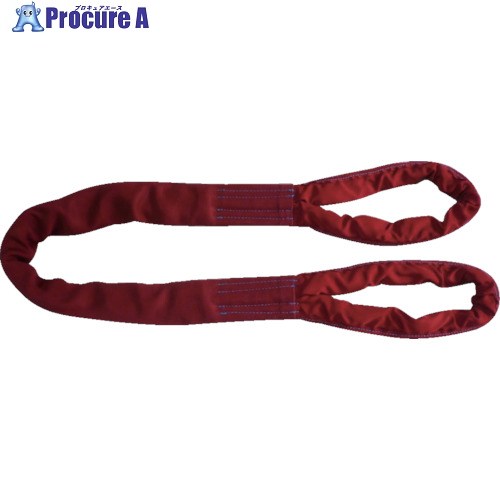 TESAC ブルースリングソフトE形(両端アイタイプ)5t用×5m(JIS標準尺度品) TBSE5TX5M 1本 ■▼851-9214 【貨物輸送都度積もり書き】