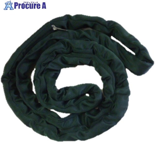 TESAC ブルースリングソフトN形(エンドレスタイプ)25t用×5m TBSN25TX5M 1本 ■▼851-9246 ※車上渡し