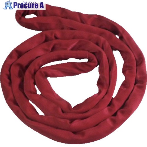 TESAC ブルースリングソフトN形(エンドレスタイプ)5t用×5m(JIS標準尺度品) TBSN5TX5M 1本 ■▼851-9254 【貨物輸送都度積もり書き】