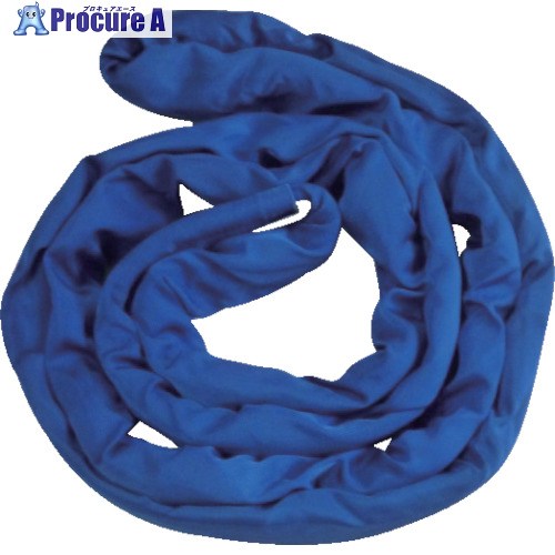 TESAC ブルースリングソフトN形(エンドレスタイプ)8t用×3m(JIS標準尺度品) TBSN8TX3M 1本 ■▼851-9257 【貨物輸送都度積もり書き】