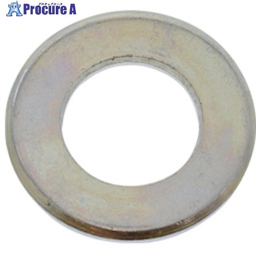 SUNCO 面取り洗濯機(JIS 25.5×48×4 (120本入) W0-00-0610-0240-0000-00 1箱 ■▼259-2077 【貨物輸送都度積もり書き】 ネジ・釘・金属素材-花・ガーデン・DIY