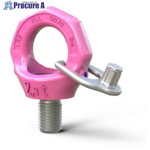 RUD スターポイントインチサイズ VRS-F-1/4-20UNC VRS-F-1/4-20UNC 1個 ▼819-5634