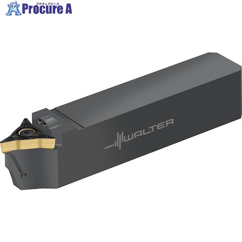 Walter 外径加工用働き口 Walter Turn 倣い旋削取り合わせ W1010...-P W1010-2020N-WL25-P 1個 ▼413-0284  ●O585 その他-花・ガーデン・DIY