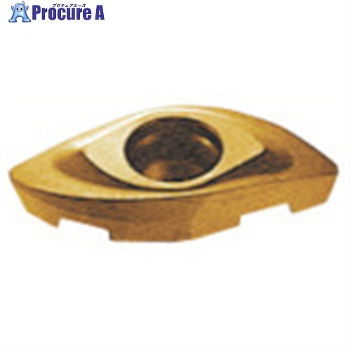MOLDINO カッタ用チップ ZCEW200SE CY250 CY250 ZCEW200SE  CY250 10個 ▼429-7334