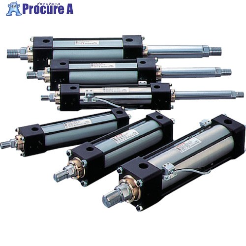 TAIYO 油圧円筒 100H-21SD50BB100-AB-K 1個 ■▼838-9596 【貨物輸送都度積もり書き】