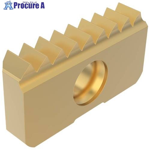 セコ フライス用 ねじ切り用差し入れる CP500 13XM18NPT  CP500 2個 ■▼508-9475 【貨物輸送都度積もり書き】